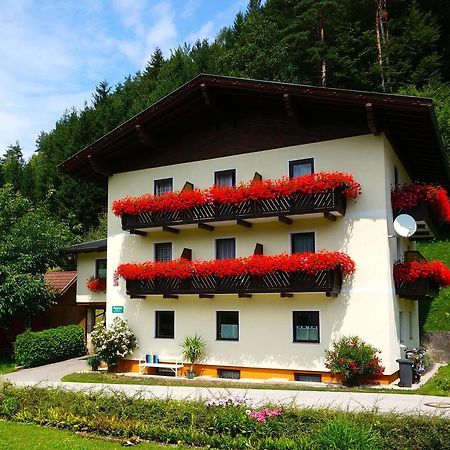 Haus Peter Bed & Breakfast Latschach ober dem Faakersee Ngoại thất bức ảnh