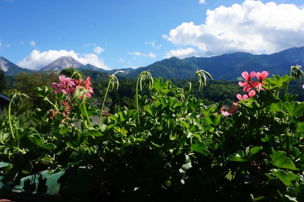 Haus Peter Bed & Breakfast Latschach ober dem Faakersee Ngoại thất bức ảnh